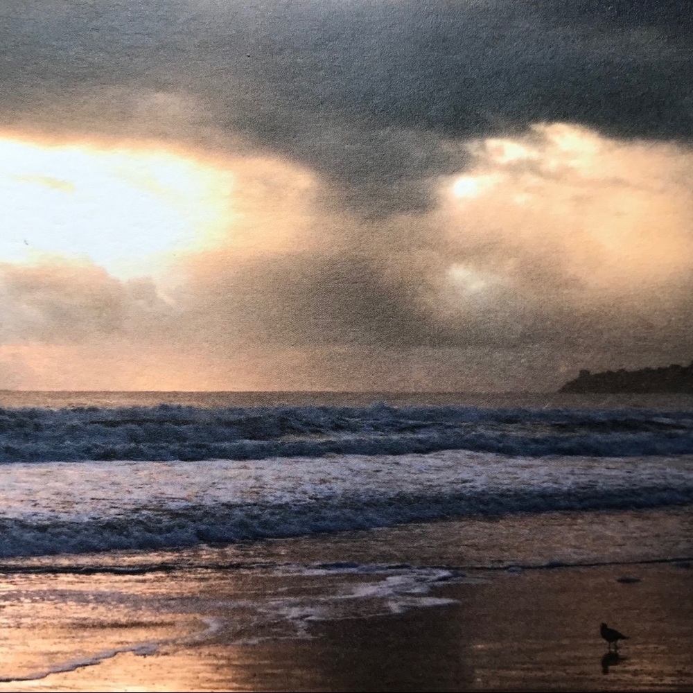 I Sell Photography Art Prints - Picture 15 of 16